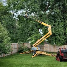 Best Tree Mulching  in Meadowbrook, CA