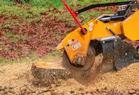 Best Arborist Consultation Services  in Meadowbrook, CA