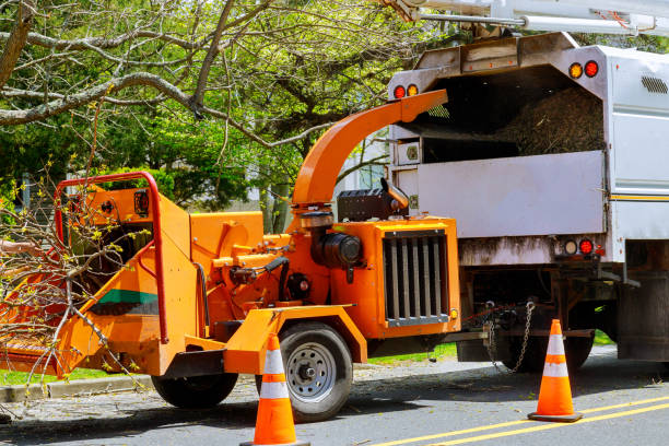 Best Aeration Services  in Meadowbrook, CA